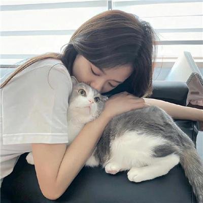 玉兔东升